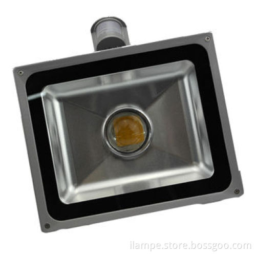 Hot sale 20W LED flood light with sensor and lens